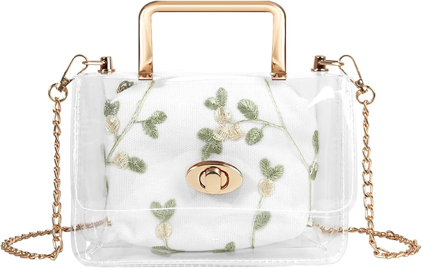 Transparent Handbags: The Clear Choice for Minimalists